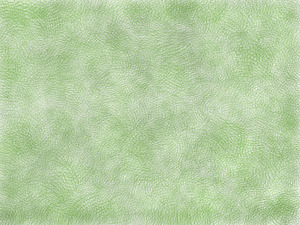 ガーゼみたいなテクスチャ　緑