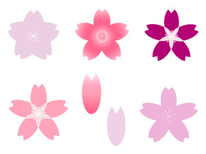 桜の花柄セット